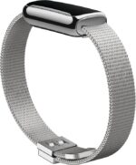Fitbit Luxe Platinum Stainless Steel Mesh Accessory Band - Image 2
